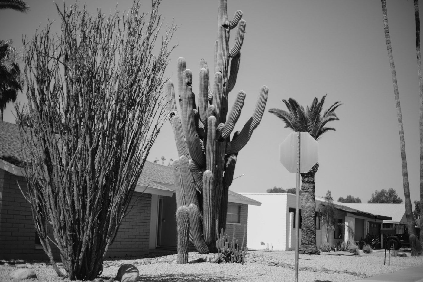Scottsdale, Arizona
